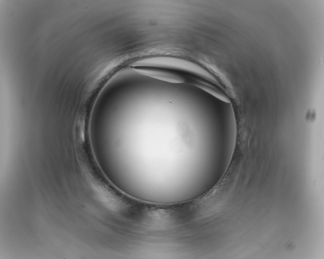 X0000092090062200709121521