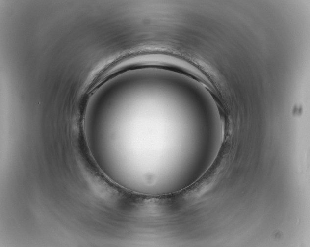 X0000092090064200709121521