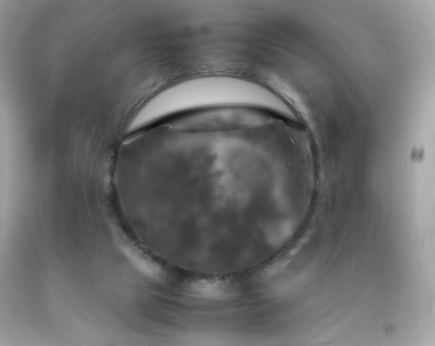 X0000092090065200709121521