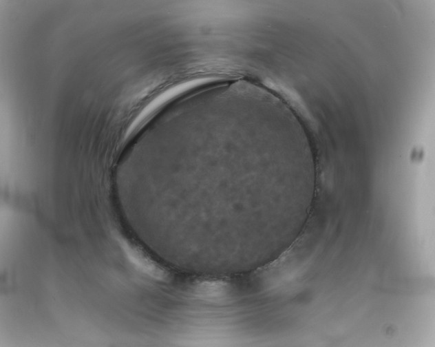 X0000092090066200709121521