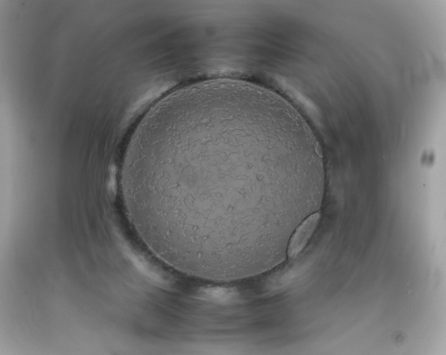 X0000092090067200709121521