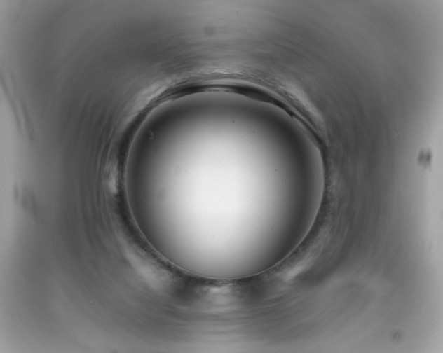 X0000092090068200709121521