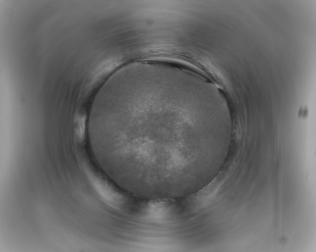 X0000092090070200709121521