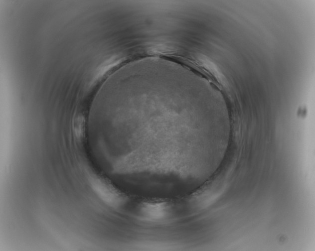 X0000092090071200709121521