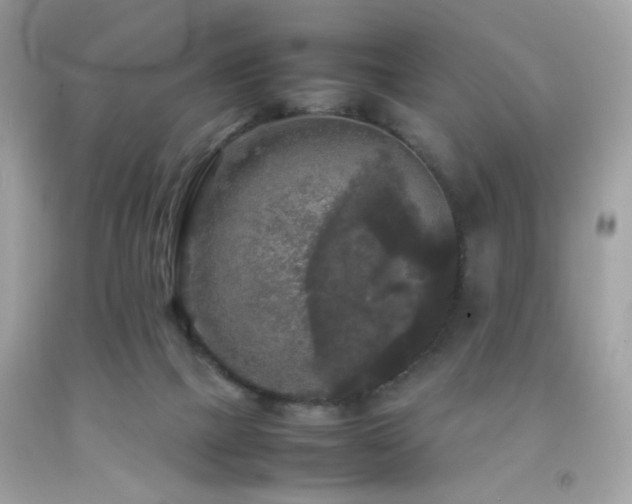 X0000092090073200709121521