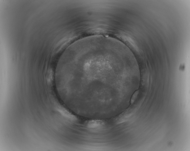 X0000092090077200709121521