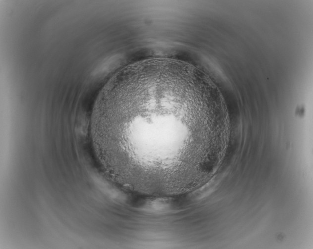 X0000092090078200709121521