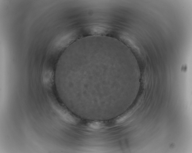 X0000092090079200709121521