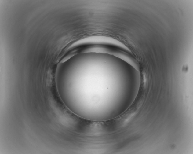 X0000092090080200709121521