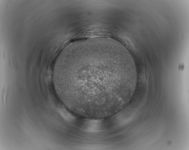 X0000092090081200709121521
