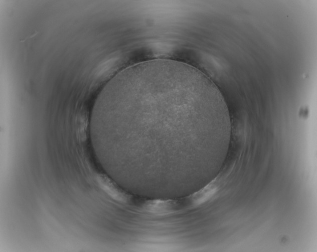 X0000092090082200709121521