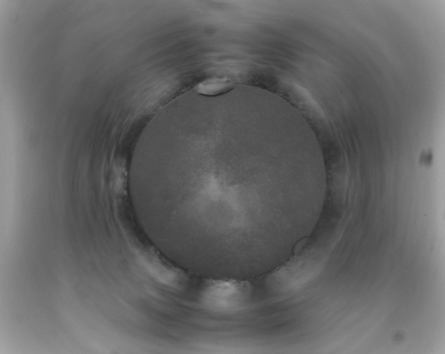 X0000092090083200709121521