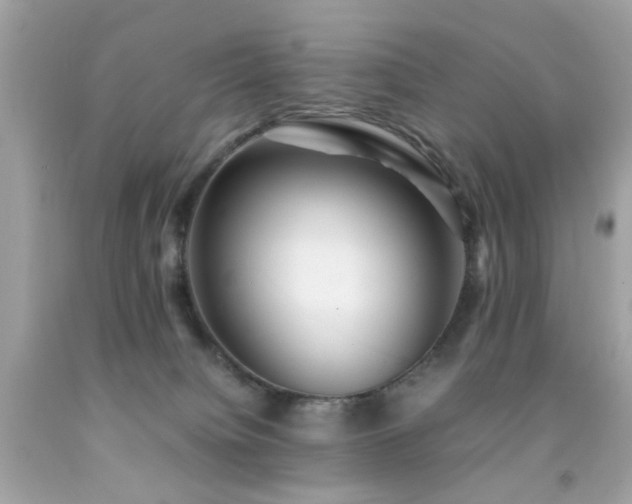 X0000092090084200709121521