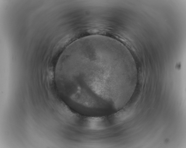 X0000092090085200709121521