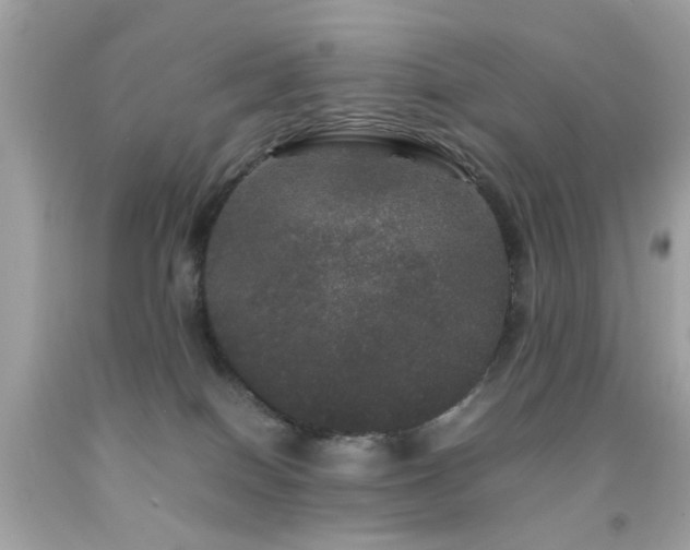 X0000092090086200709121521