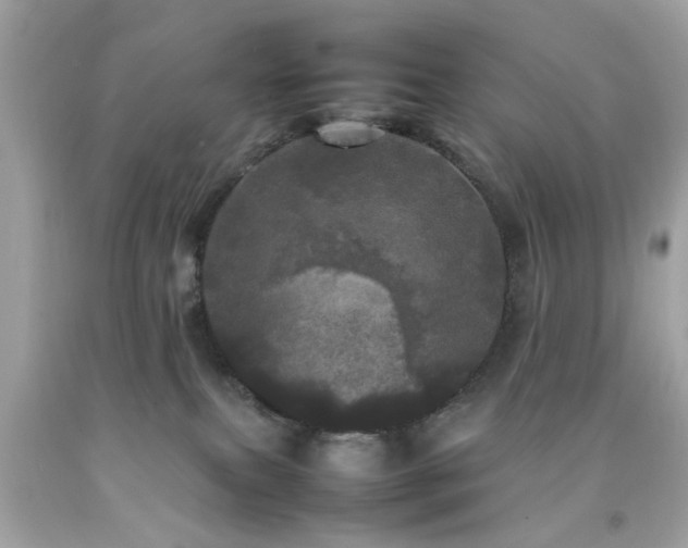 X0000092090087200709121521