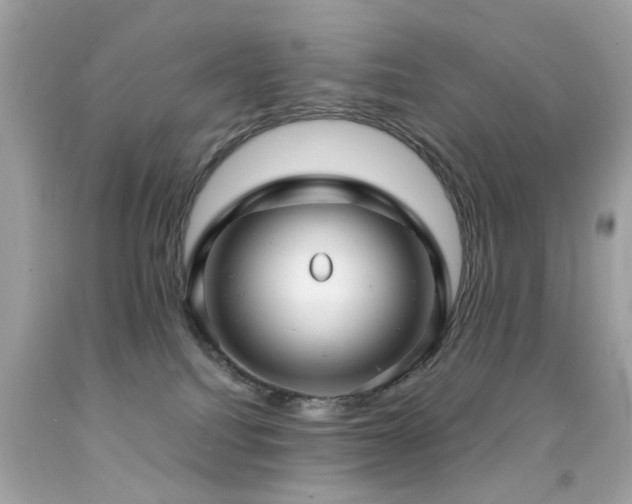 X0000092090088200709121521