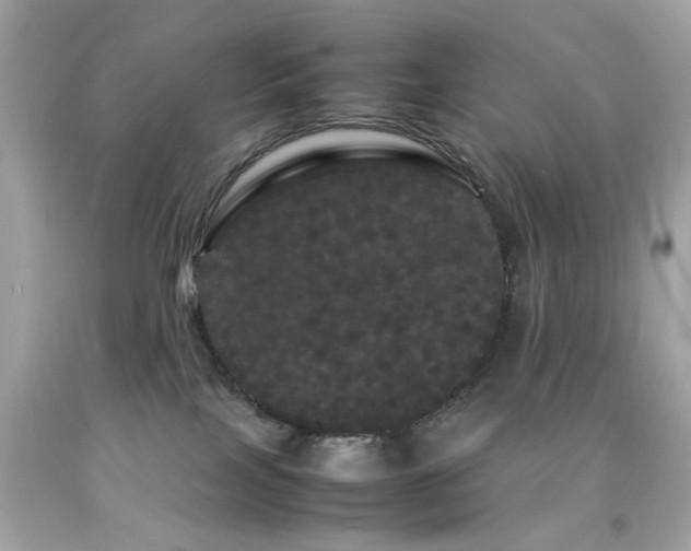 X0000092090089200709121521