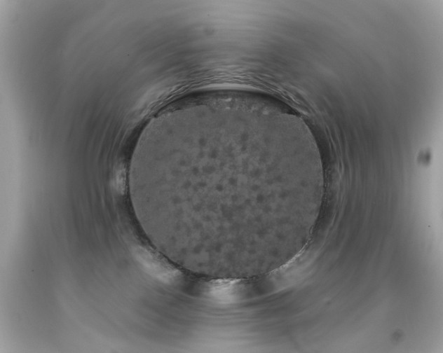 X0000092090090200709121521
