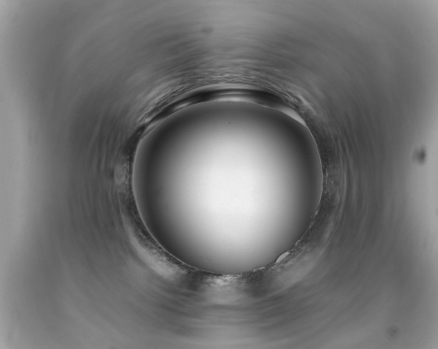 X0000092090092200709121521