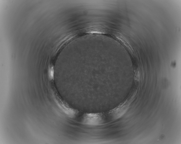 X0000092090095200709121521