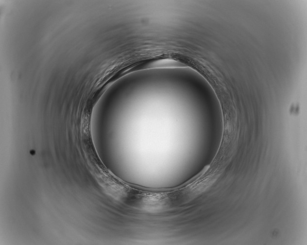 X0000092090096200709121521