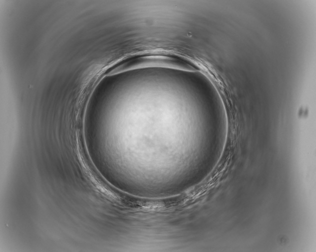 X0000092090097200709121520