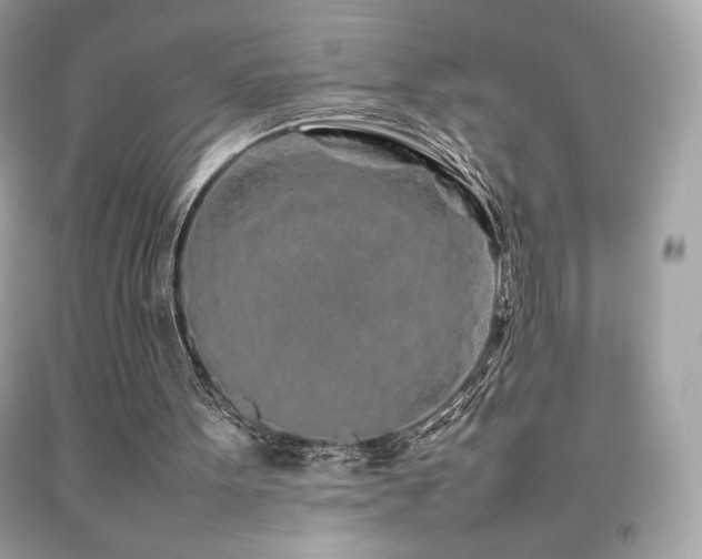 X0000092090099200709121520