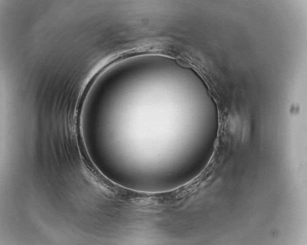 X0000092090100200709121520
