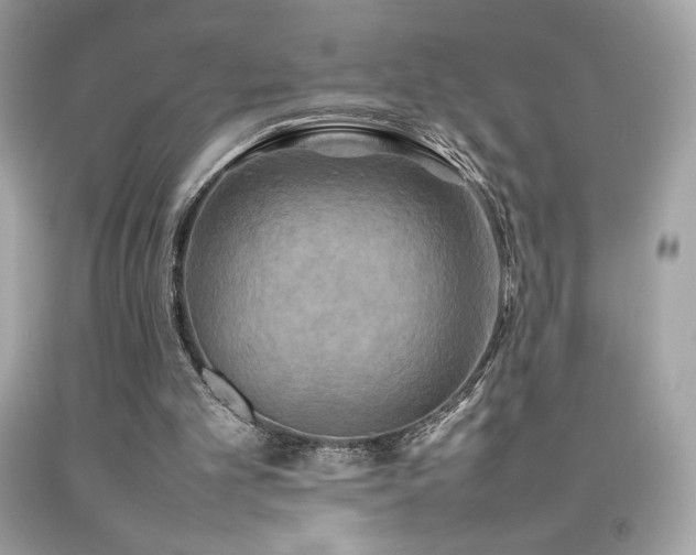 X0000092090101200709121520