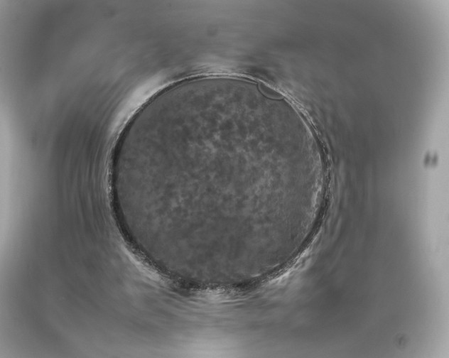 X0000092090103200709121520