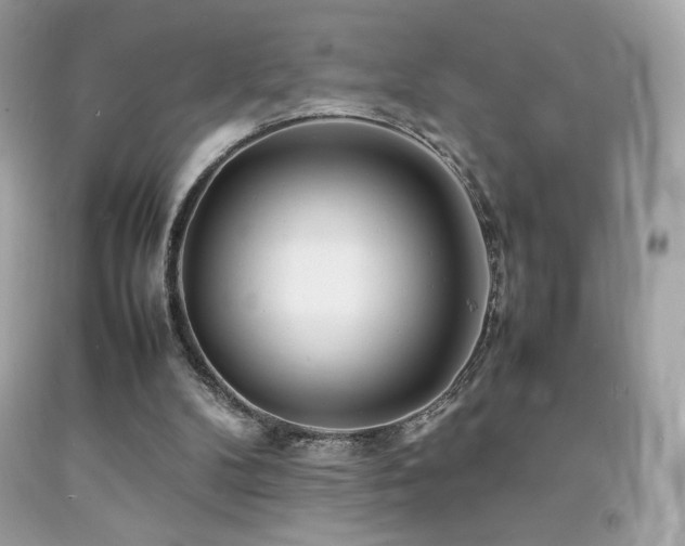 X0000092090104200709121520