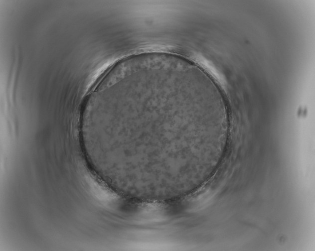 X0000092090107200709121520