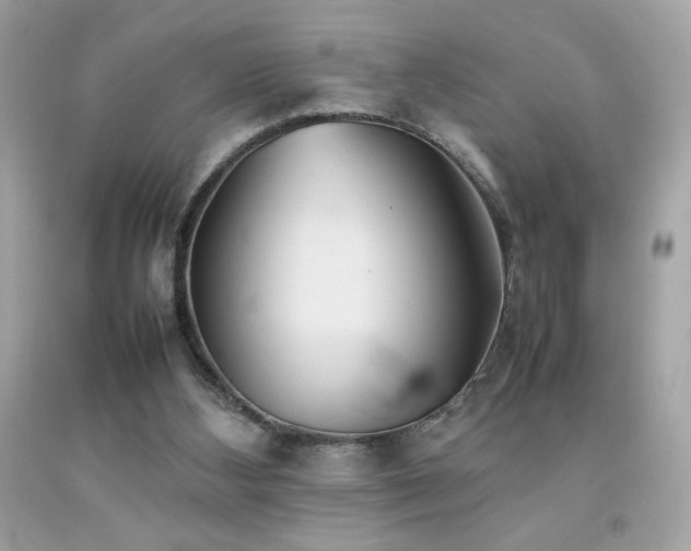 X0000092090108200709121520