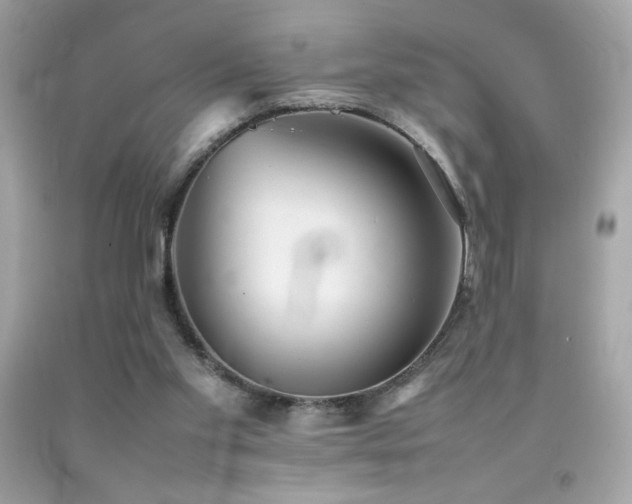 X0000092090109200709121520