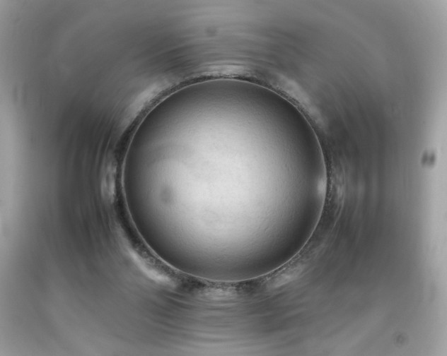 X0000092090110200709121520