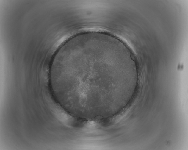 X0000092090111200709121520