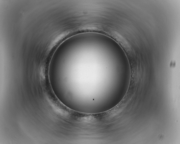 X0000092090112200709121520