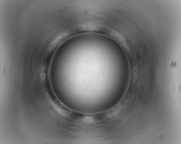 X0000092090114200709121520