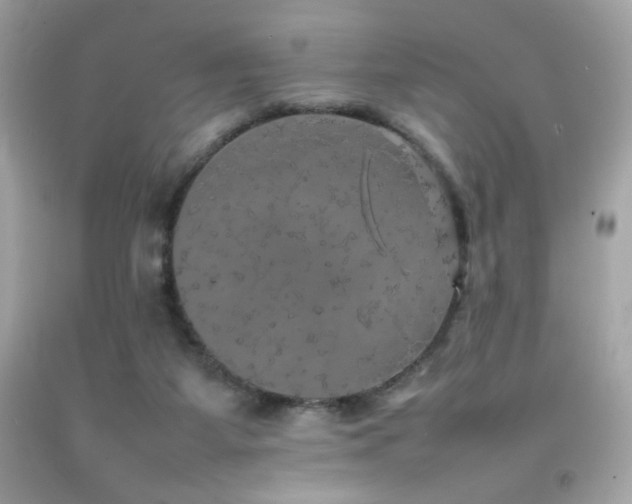X0000092090115200709121520