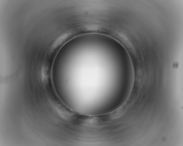X0000092090116200709121520