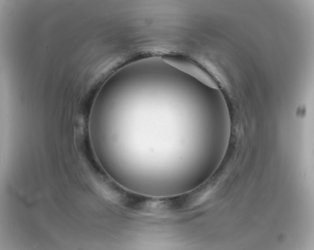 X0000092090117200709121520