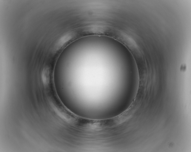 X0000092090120200709121520