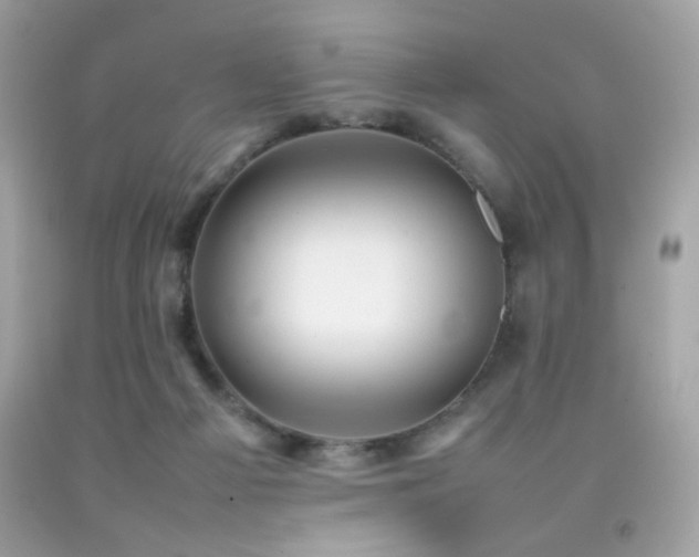 X0000092090121200709121520