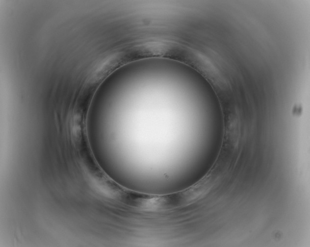 X0000092090122200709121520