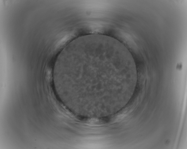 X0000092090123200709121520