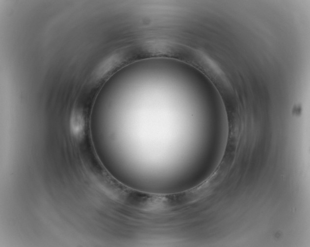 X0000092090124200709121520