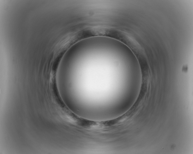 X0000092090125200709121520