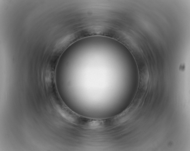 X0000092090126200709121520