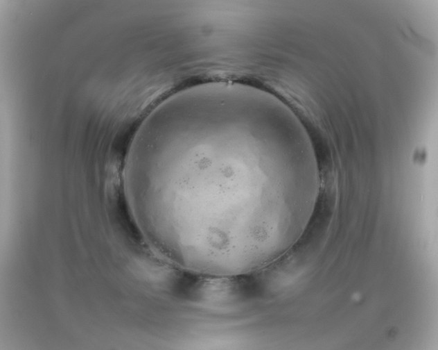 X0000092090127200709121520